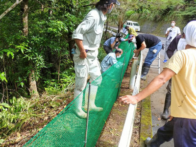 村道沿いに防護ネットを設置